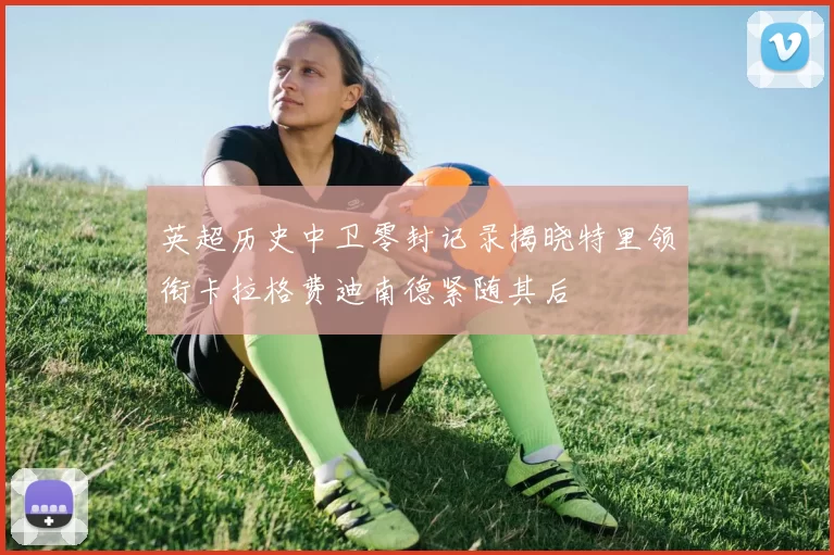 英超历史中卫零封记录揭晓特里领衔卡拉格费迪南德紧随其后